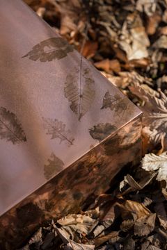 LEAFPRINT Trio by Alcarol - view 3