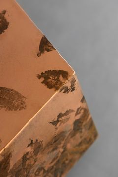 LEAFPRINT Coffee Table C by Alcarol - view 6