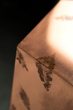 LEAFPRINT Low Table B by Alcarol - view 8