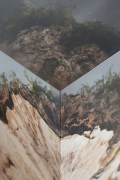 STUMP Side Table - Poplar by Alcarol - view 4