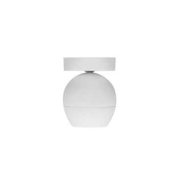Surface Ceiling Light OLI-10001 by A.L.S.