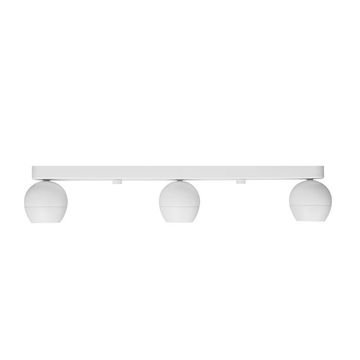 Surface Ceiling Light OLI-31 by A.L.S.