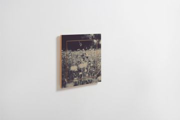 Fläpps Shelf 40x40-1 - Wild and Free - Ingrid Beddoes by Ambivalenz - view 3