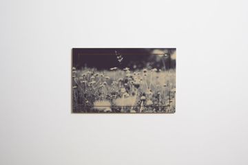 Fläpps Secretary 80x50-1 - Wild and Free - Ingrid Beddoes by Ambivalenz