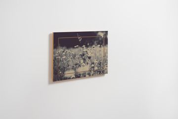 Fläpps Shelf 60x40-1 - Wild and Free - Ingrid Beddoes by Ambivalenz - view 3
