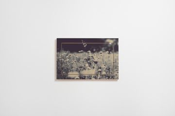 Fläpps Shelf 60x40-1 - Wild and Free - Ingrid Beddoes by Ambivalenz