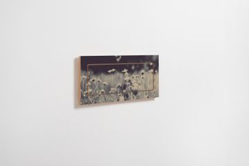 Fläpps Shelf 60x27-1 - Wild and Free - Ingrid Beddoes by Ambivalenz - view 3