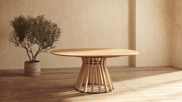 CLUDO Plus T164+ by Anesis - view 6
