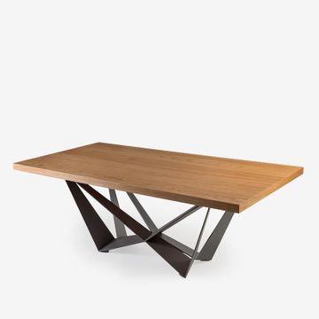 Tailo T155 by Anesis - view 2