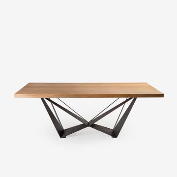 Tailo T155 by Anesis - view 7