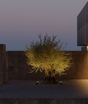 SIGNAL by BENEITO FAURE - view 2