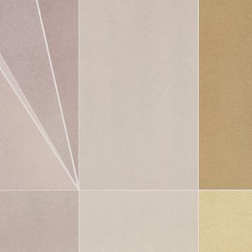 Dance by Calico Wallpaper - view 3