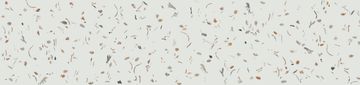 Conch by Calico Wallpaper - view 3