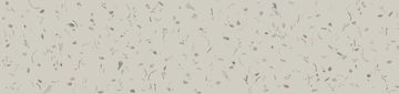 Scallop by Calico Wallpaper - view 3