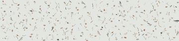 Conch by Calico Wallpaper - view 2