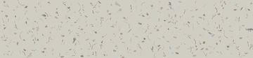 Scallop by Calico Wallpaper - view 2