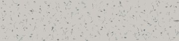 Urchin by Calico Wallpaper - view 2