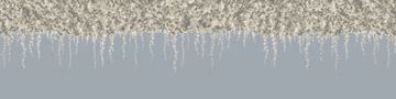 Franz by Calico Wallpaper - view 2