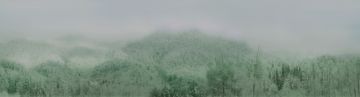 Springtide by Calico Wallpaper - view 3