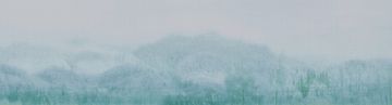 Awash by Calico Wallpaper - view 2