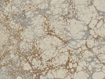 Ecru by Calico Wallpaper - view 3