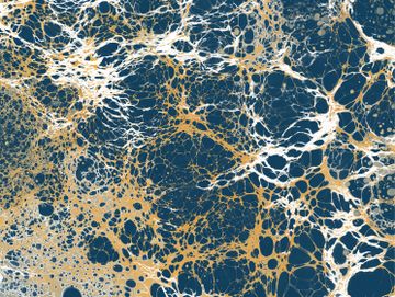Indigo by Calico Wallpaper - view 3