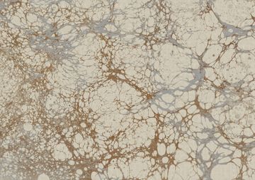 Ecru by Calico Wallpaper - view 2