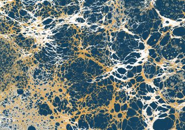 Indigo by Calico Wallpaper - view 2