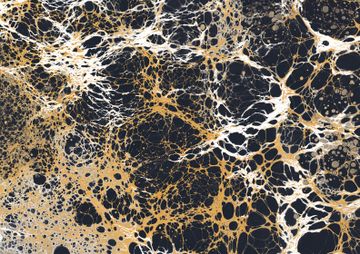 Slate by Calico Wallpaper - view 2