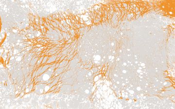 Blush by Calico Wallpaper - view 2