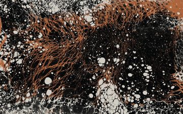 Ember by Calico Wallpaper - view 2