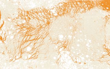 Harvest by Calico Wallpaper - view 2