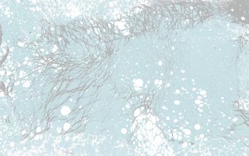 Tundra by Calico Wallpaper - view 2