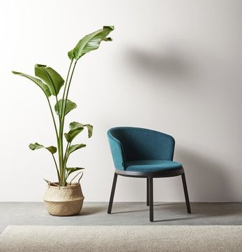 Aro Armchair by Capdell - view 2