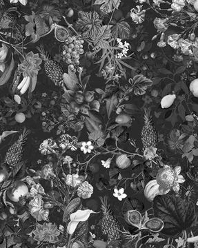 Botanica Black&White Wallpaper by Devon&Devon - view 2