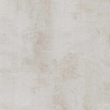 Metalix Polished Bone Floor Tile 59x59 by Kale - view 6