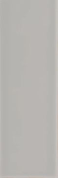 Miniatile Glossy Taupe Windsor Wall Tile 10x30 by Kale