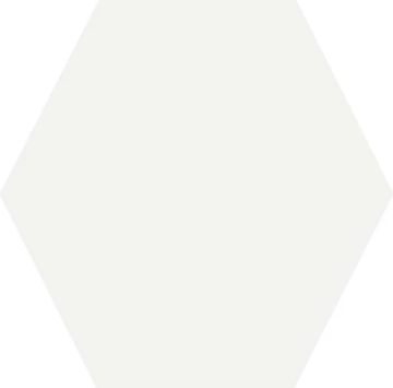 Miniatile Matte White Color xs Glazed Granite 17,5x30 by Kale - view 2