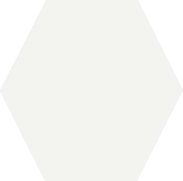 Miniatile Matte White Color xs Glazed Granite 17,5x30 by Kale