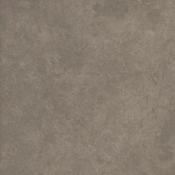 Cement 2.0 Matte Soil Porcelain Tile 59x59 by Kale - view 5