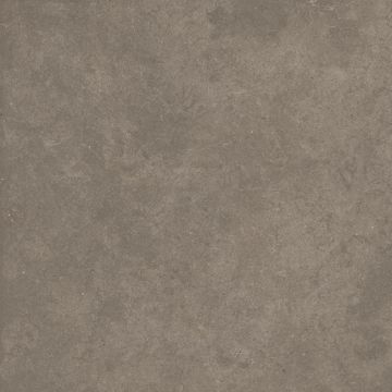 Cement 2.0 Matte Soil Porcelain Tile 59x59 by Kale - view 6