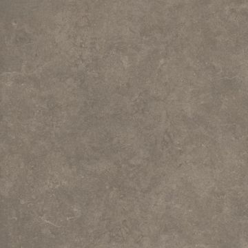 Cement 2.0 Matte Soil Porcelain Tile 59x59 by Kale - view 7