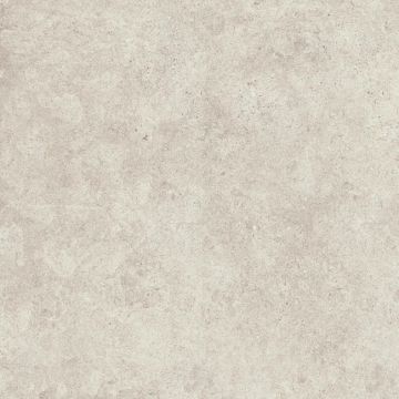 Cement 2.0 Matte Cold Grey Porcelain Tile 59x59 by Kale - view 4