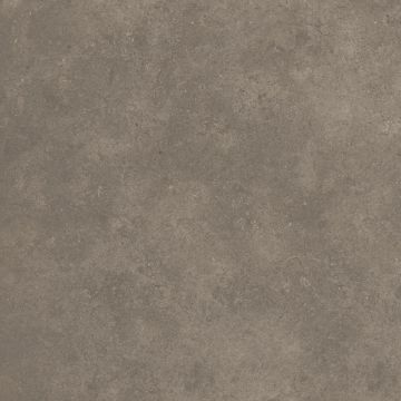 Cement 2.0 Matte Soil Porcelain Tile 59x59 by Kale - view 4