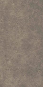 Cement 2.0 Matte Soil Porcelain Tile 60x120 by Kale - view 6