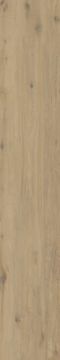 Hollywood Matte Beige Porcelain Slab 50x300 by Kale - view 2