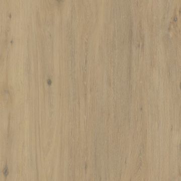 Hollywood Matte Beige Sinterflex Porcelain Tile 100x100 by Kale - view 2