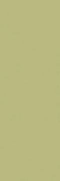 Innovation Matte Pistachio Green Kalesinterflex Porcelain Slab 100x300 by Kale - view 2