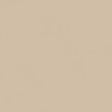 Intonaco Matte Beige Porcelain Tile 120x120 by Kale - view 3