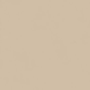 Intonaco Matte Beige Porcelain Tile 120x120 by Kale - view 4